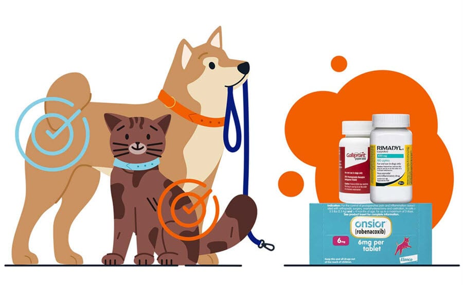 Illustration of a dog and cat looking at medication