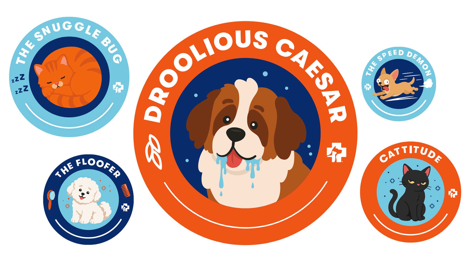 dogs and cats in various circles