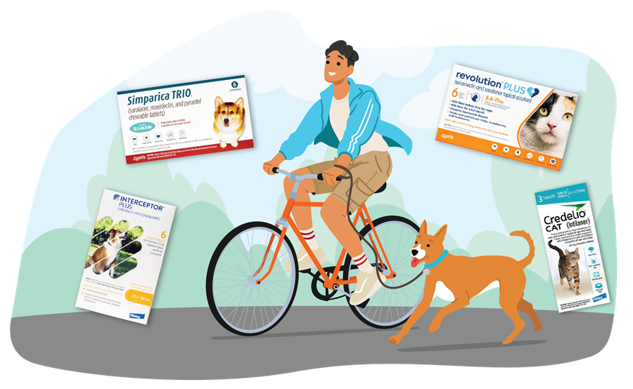 illustration of a man on a bike with his dog surrounded by medication