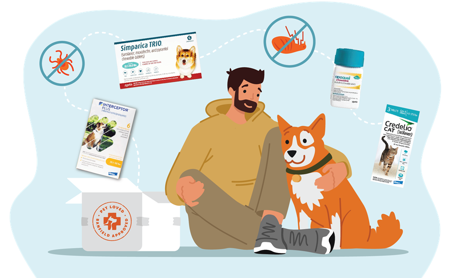 illustration of a man sitting on the ground with his dog surrounded by medication