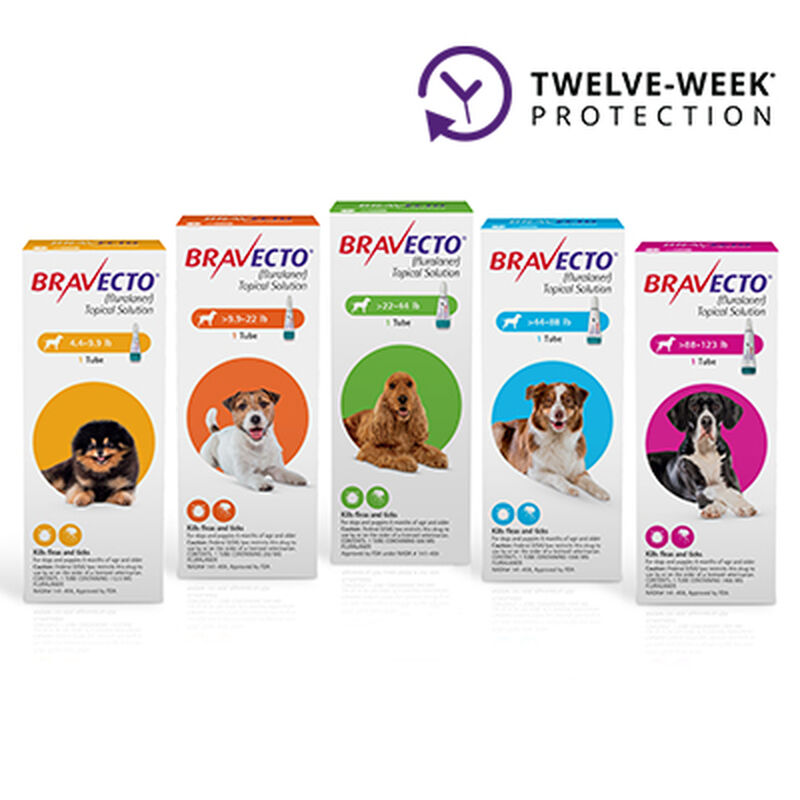 Bravecto® Topical for Dogs image number NaN