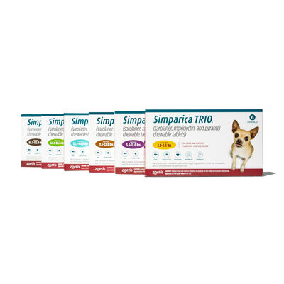 Simparica Trio® Chewables for dogs
