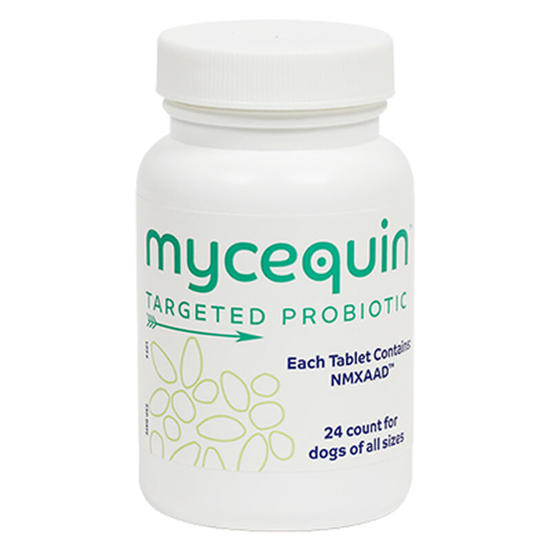 Mycequin™ Targeted Probiotic Chewable Tablets for Dogs image number NaN