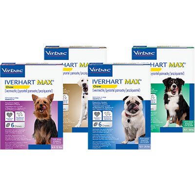 Iverhart Max&reg; Chew