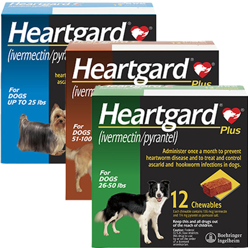 Heartgard Plus Chewables For Dogs 51 To 100 Lbs Brown Box 6 s Brighton Vet Care Lupon gov ph