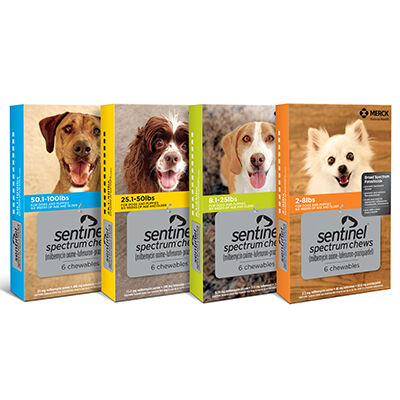 Sentinel® Spectrum® Chews