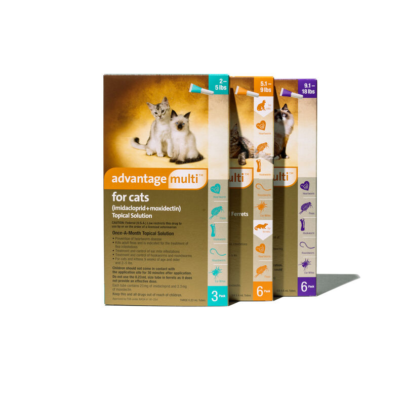 Advantage Multi® Topical Solution for Cats image number NaN