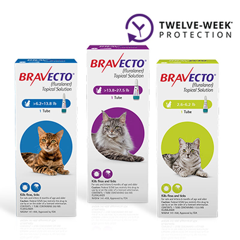 Bravecto&reg; Topical for Cats image number NaN
