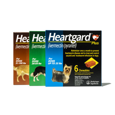Heartgard® Plus Chewables