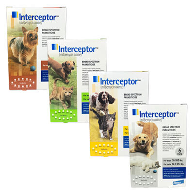 Heartworm meds sales