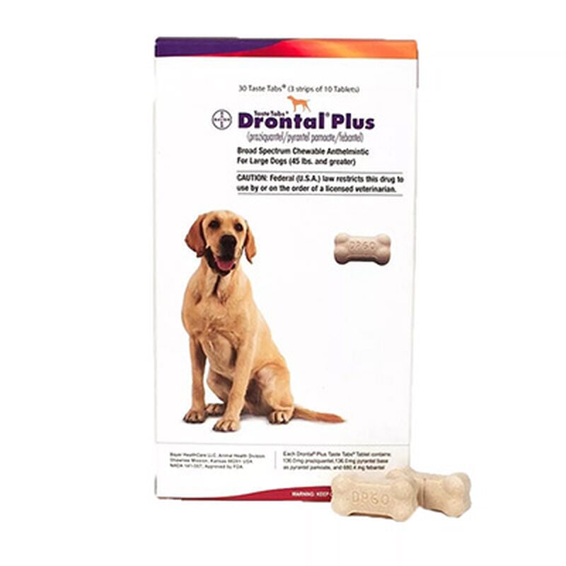 Drontal® Plus Canine Tablets image number NaN