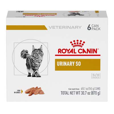 Royal canin urinary diet cat sale