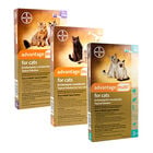 Advantage Multi® Topical Solution for Cats