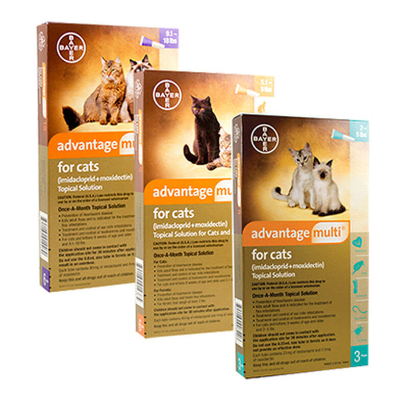 Advantage Multi® Topical Solution for Cats (imidacloprid + moxidectin) image number NaN