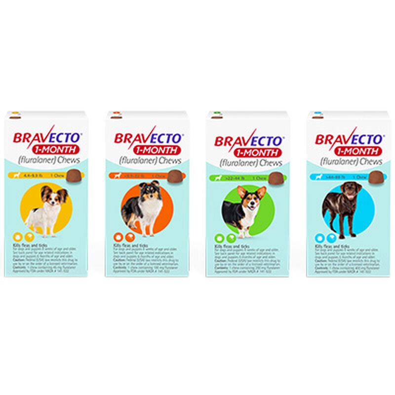 Bravecto&reg; 1-MONTH Chews for Dogs image number NaN