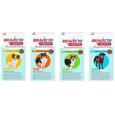 Bravecto&reg; 1-MONTH Chews for Dogs