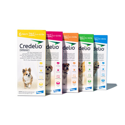 Credelio® for Dogs