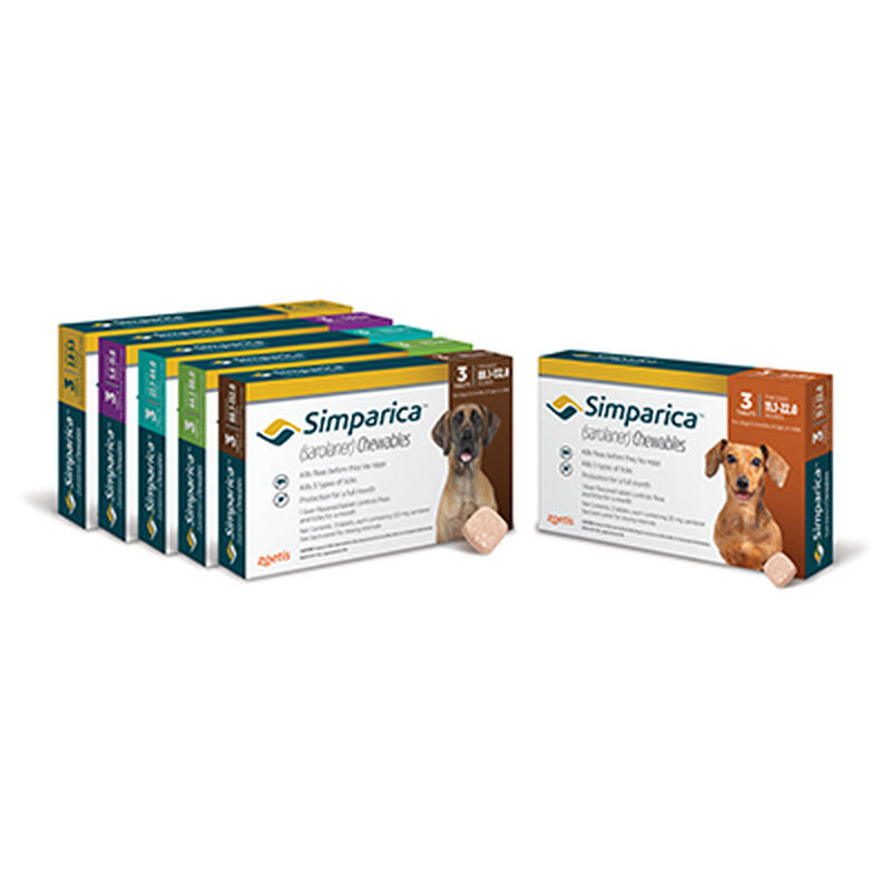 Simparica®&nbsp;Chewables for dogs image number NaN