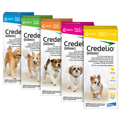 Banfield Shop Credelio for Dogs