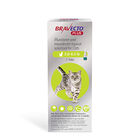 Bravecto® Plus Topical for Cats