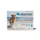 Adequan® CANINE Injectable 100 mg/ml