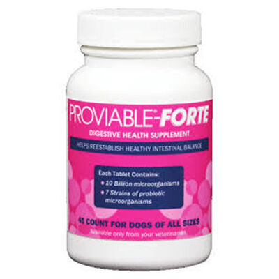 Proviable®-Forte Chewable Tablets for Dogs