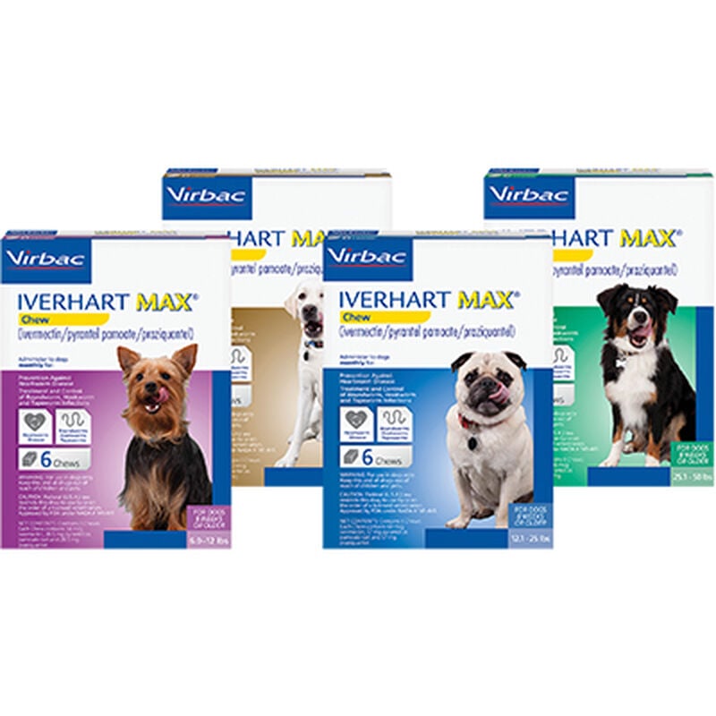 Iverhart Max® Chew image number NaN