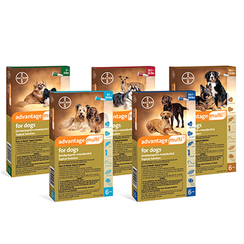 Advantage Multi® Topical Solution for Dogs&nbsp; image number NaN