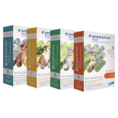 Interceptor plus for on sale dogs