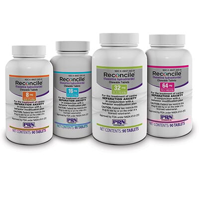 Reconcile&reg; Chewable Tablet