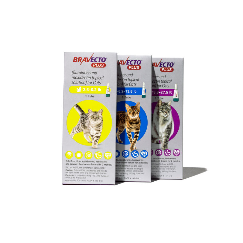 Bravecto® Plus Topical for Cats image number NaN