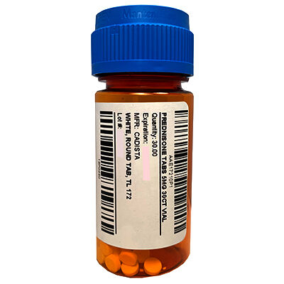 Prednisone for on sale ear infection dog