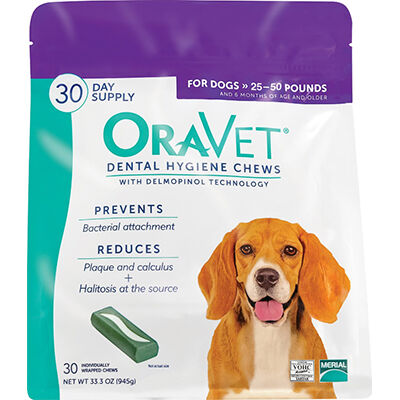 Dental chews for senior dogs outlet