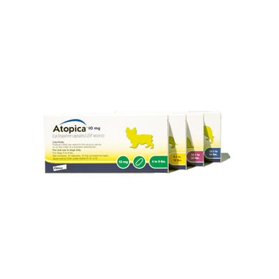Atopica® for Dogs