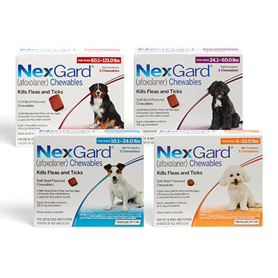 Banfield Shop NexGard Chewables