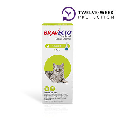 Bravecto for cats side effects sales