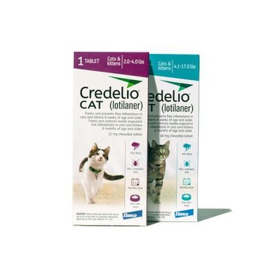 Credelio™ for Cats