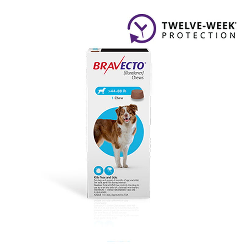 Bravecto® Chews for Dogs image number NaN