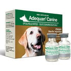 Adequan® CANINE&nbsp;Injectable 100 mg/ml