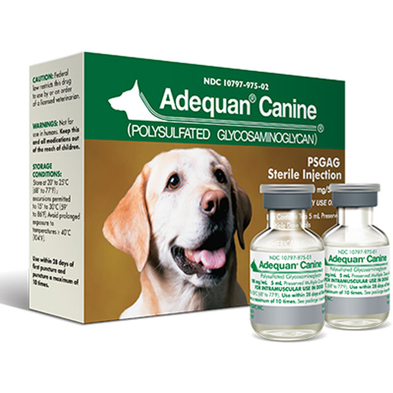 Adequan® CANINE Injectable 100 mg/ml image number NaN