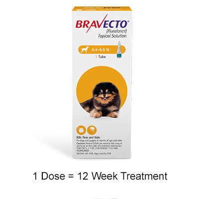 Does bravecto sales
