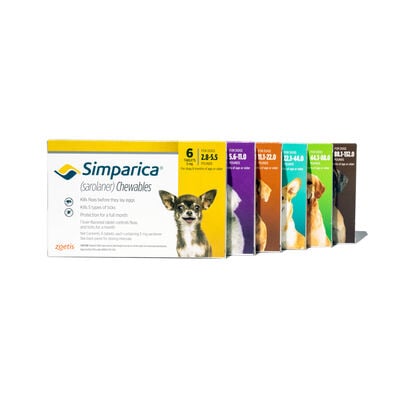 Simparica&reg;&nbsp;Chewables for dogs
