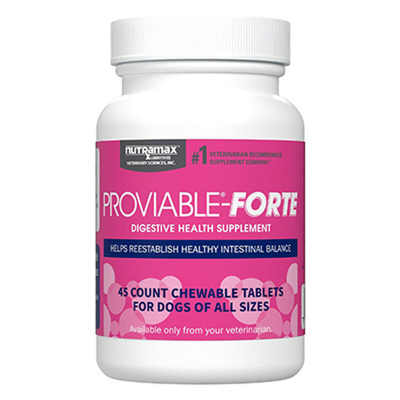 Proviable&reg;-Forte Chewable Tablets for Dogs image number NaN