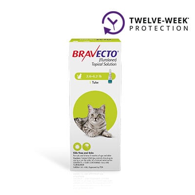 Bravecto&reg; Topical for Cats