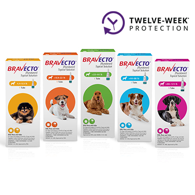 Banfield flea and tick treatment store