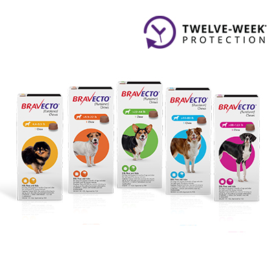 Bravecto® Chews for Dogs image number 1