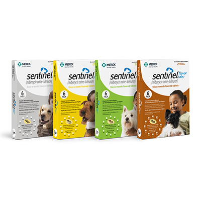 Flea Tick Medication Treatment for Dogs