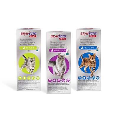 Banfield flea and tick treatment shop